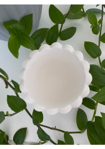 Dalga Desenli Beyaz Beton Sukulent Saksı fırsatları