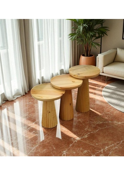 Üst Kalite 3'lü Çizgili Fitilli Mantar Yan Sehpa - Doğal fiyatları