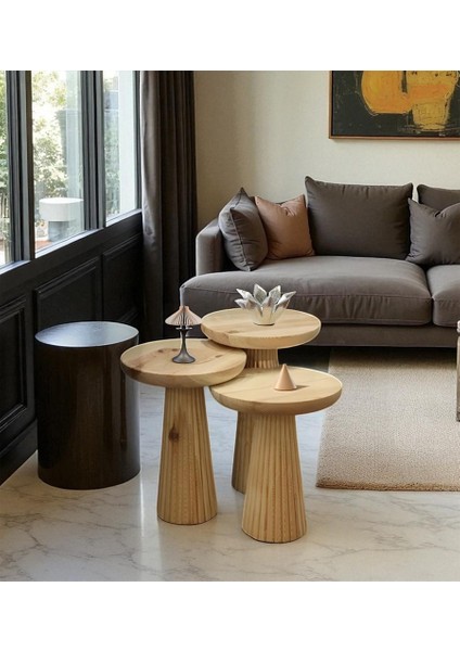 Üst Kalite 3'lü Çizgili Fitilli Mantar Yan Sehpa - Doğal indirimleri