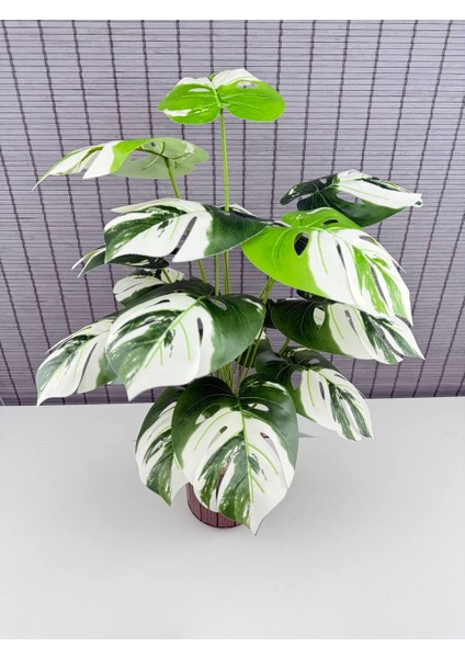 Yapay Yapraklı Çiçek Monstera Yeşil Beyaz Deve Tabanı Salon Çiçeği 65CM 18 Yaprak modelleri