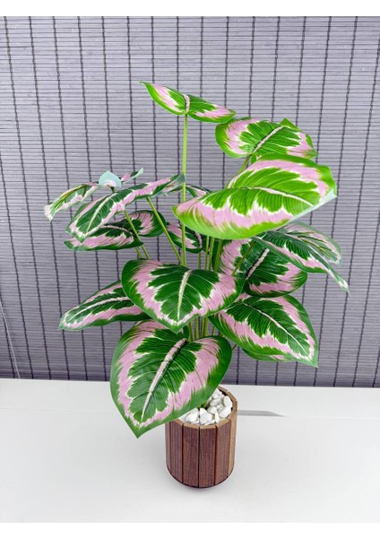 Yapay Yapraklı Salon Rosy Dua Çiçeği Ahşap Saksılı 18 Yapraklı 65CM