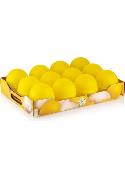 Qlux Limon Saklama Kabı Kesik Limon Yarım Limon Saklama Kabı fiyatları