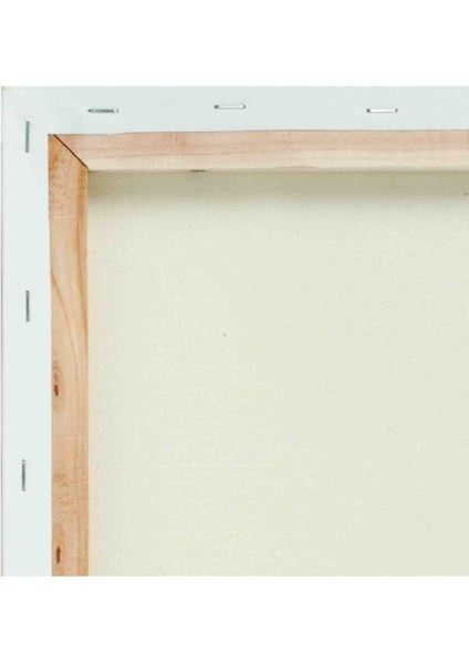 Çok Renkli Dekoratif Kanvas Tablo, Modern ve Şık Tasarım, 1236 fırsatları