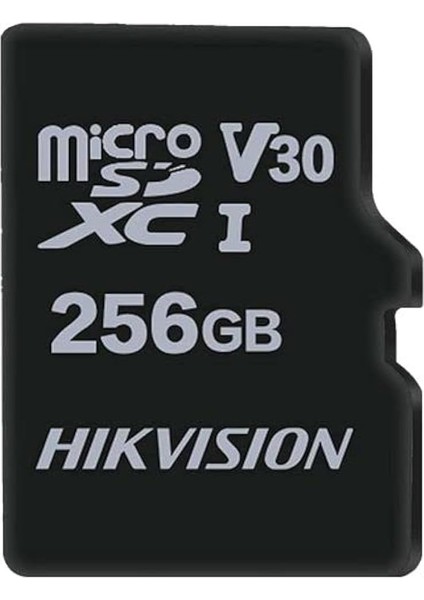 Hs-Tf-D1 256 GB Micro Sd