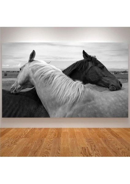 Siyah Beyaz Çift At Dekoratif Kanvas Tablo, Zarif Dekorasyon Parçası