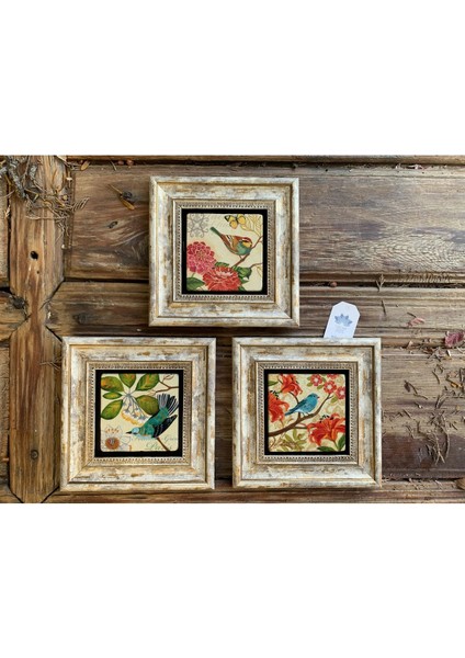 Turuncu Taş Baskılı Çerçeveli Duvar Tablosu Seti 3'lü 20X20 cm