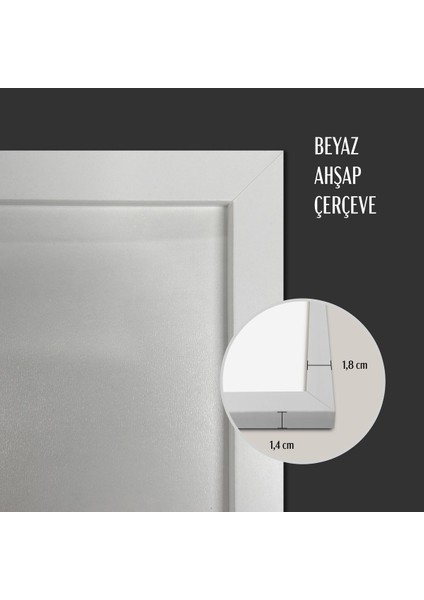 Beyaz Ahşap Çerçeveli Tek Parça Poster Tablo TK/735 modelleri