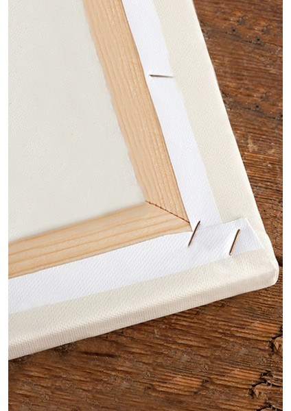 Beyaz Atatürk Kanvas Tablo, Dekoratif ve Şık Bir Sanat Eseri fırsatları