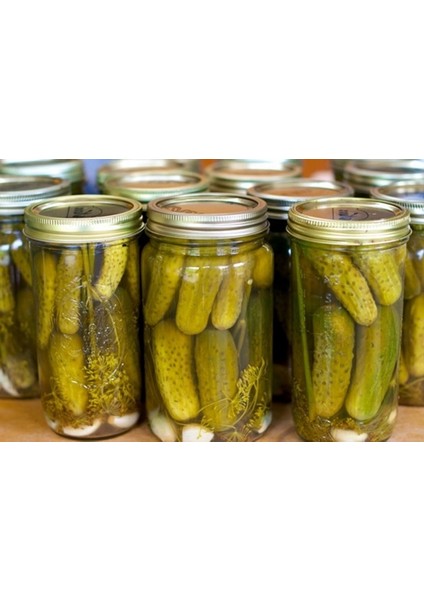 Kornişon fiyatları