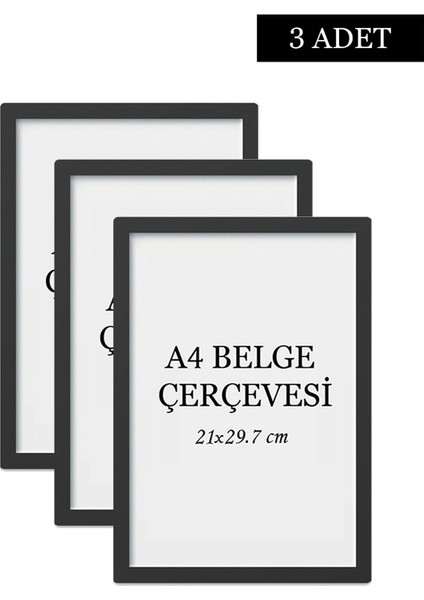 Siyah 3'lü A4 Belge ve Sertifika Çerçevesi Seti