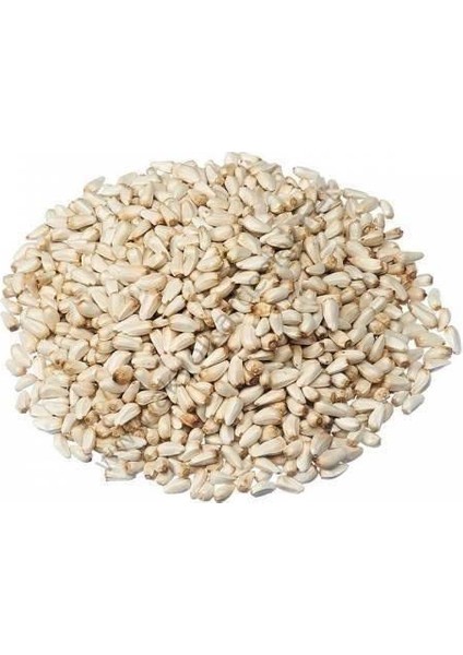 Yemlik Aspir Tohum Yem 2 kg ( Güvercin, Tavuk, Papağan Için )