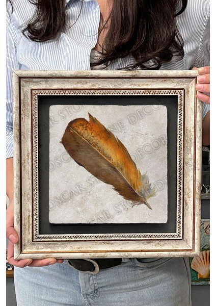 Renkli Kuş Tüyü Çerçeveli Taş Duvar Tablosu 30X30 cm fırsatları