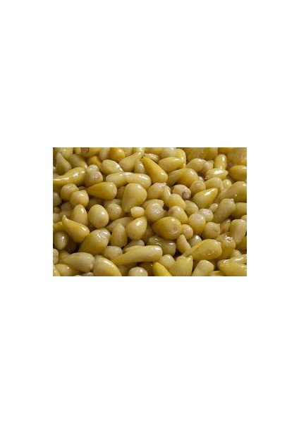 Biber Turşusu(Tombul)