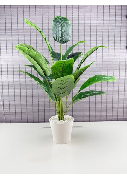 Yapay Çiçek Starliçe Salon Çiçeği Beyaz Saksılı Yapay Bitki 18 Yapraklı 65 cm modelleri