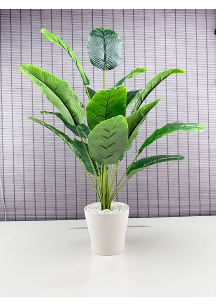 Yapay Çiçek Starliçe Salon Çiçeği Beyaz Saksılı Yapay Bitki 18 Yapraklı 65 cm indirimleri