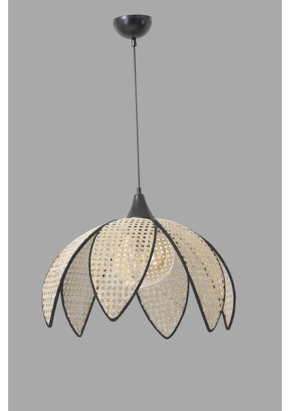 Beyaz Yürüyen Abajur, Tekli Daisy Hazeran Sarkıt Avize