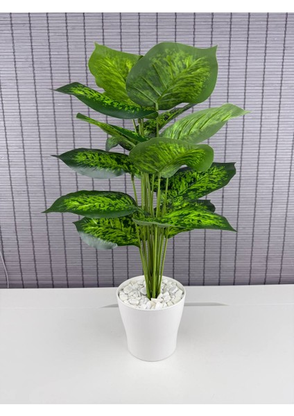 Yapay Çiçek Difenbahya 18 Yapraklı 65 cm Salon Çiçeği Beyaz Plastik Saksılı Yapay Bitki fiyatları