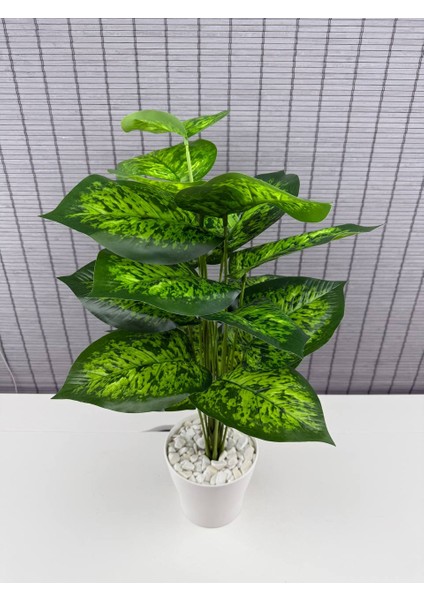 Yapay Çiçek Difenbahya 18 Yapraklı 65 cm Salon Çiçeği Beyaz Plastik Saksılı Yapay Bitki modelleri
