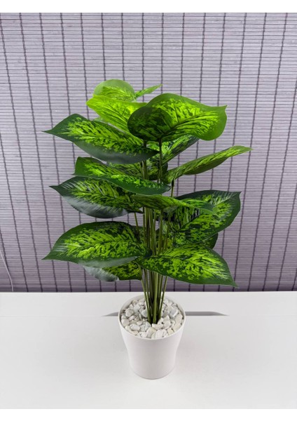 Yapay Çiçek Difenbahya 18 Yapraklı 65 cm Salon Çiçeği Beyaz Plastik Saksılı Yapay Bitki fırsatları