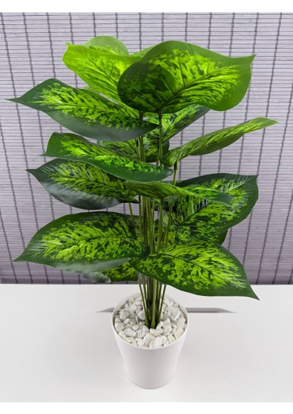 Yapay Çiçek Difenbahya 18 Yapraklı 65 cm Salon Çiçeği Beyaz Plastik Saksılı Yapay Bitki