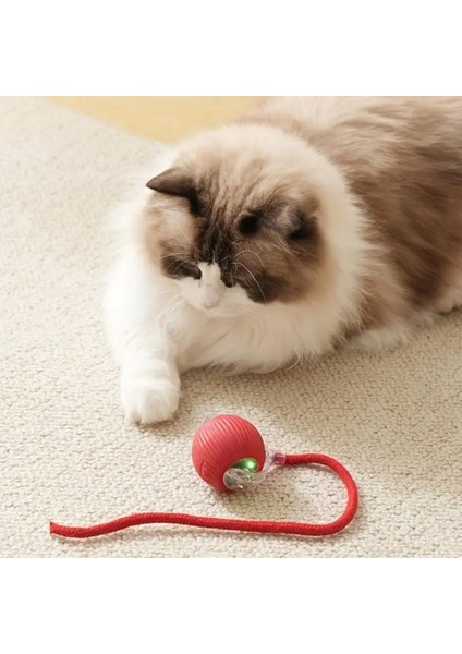 Şarjlı Otomatik Hareketli Kedi Köpek Için 360 Derece Dönen Interaktif Akıllı Oyun Topu modelleri