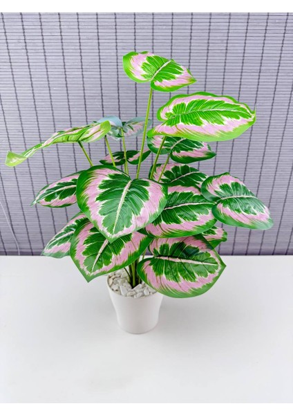 Yapay Yapraklı Salon Rosy Dua Çiçeği Beyaz Saksılı 18 Yapraklı 65CM