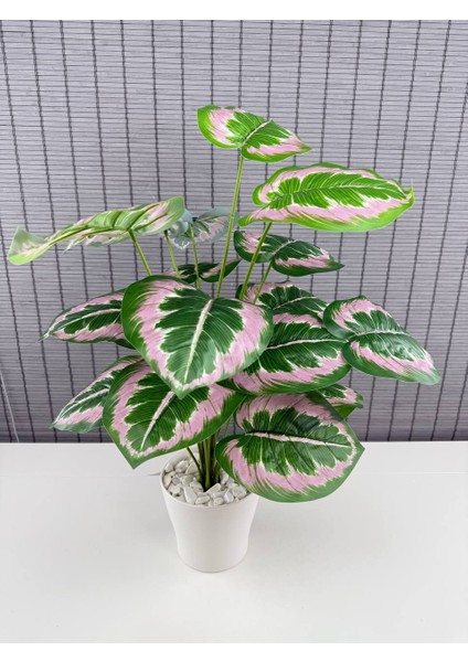 Yapay Yapraklı Salon Rosy Dua Çiçeği Beyaz Saksılı 18 Yapraklı 65CM fiyatları