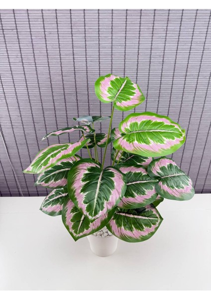 Yapay Yapraklı Salon Rosy Dua Çiçeği Beyaz Saksılı 18 Yapraklı 65CM modelleri