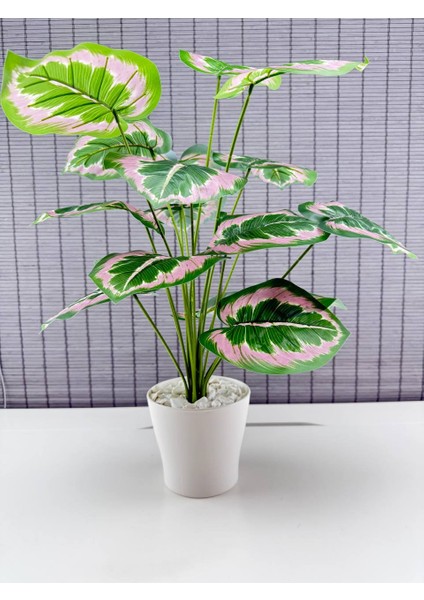 Yapay Yapraklı Salon Rosy Dua Çiçeği Beyaz Saksılı 18 Yapraklı 65CM fırsatları