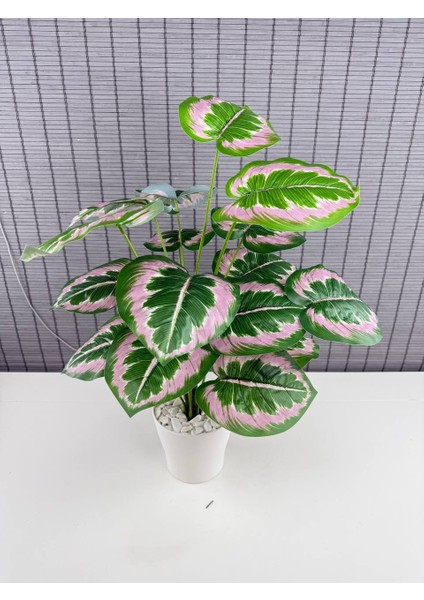 Yapay Yapraklı Salon Rosy Dua Çiçeği Beyaz Saksılı 18 Yapraklı 65CM indirimleri