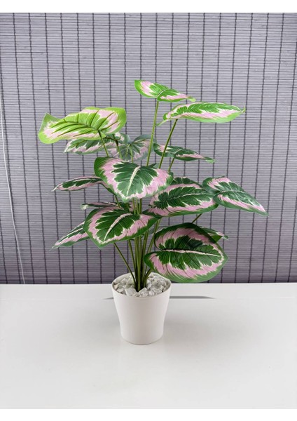 Yapay Yapraklı Salon Rosy Dua Çiçeği Beyaz Saksılı 18 Yapraklı 65CM