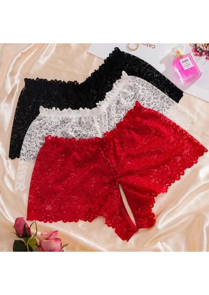 Özel Bölgesi Açık Büyük  Beden Dantel Külot (3 Adet)