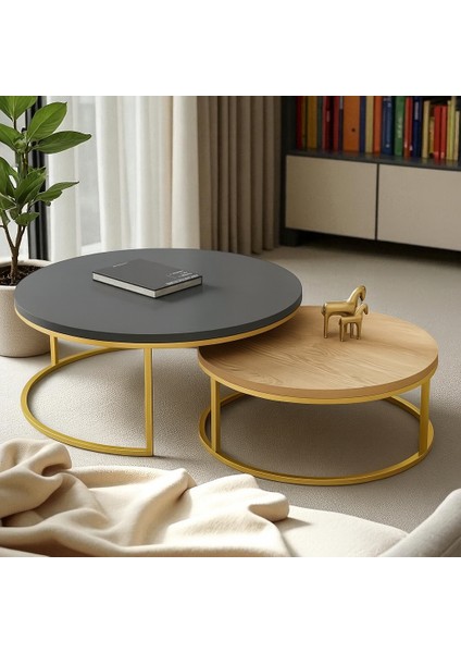 Ikili Gold Metal Orta Sehpa Antrasit Sepet Panel