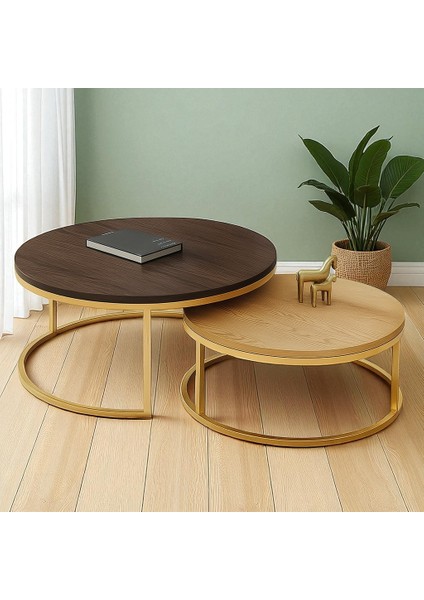 Edmonda Gold Ikili Orta Sehpa Koyu Ceviz Sepet Panel