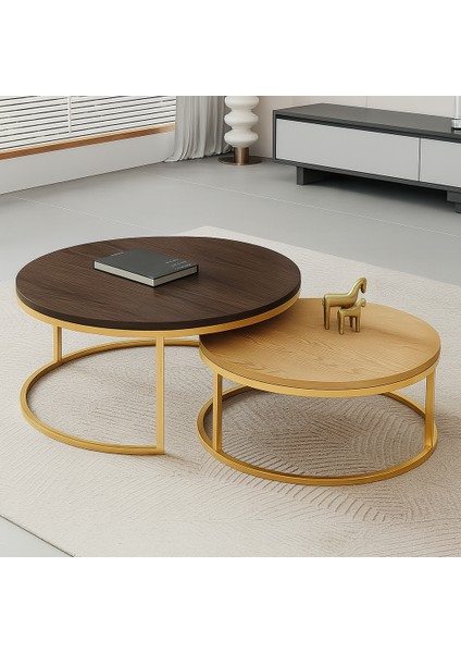 Edmonda Gold Ikili Orta Sehpa Koyu Ceviz Sepet Panel modelleri