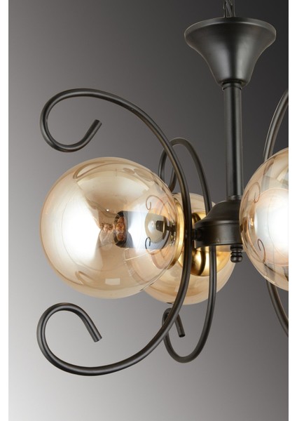 Menekşe Siyah 4'lü Bal Glop Camlı Şık Modern Avize fırsatları