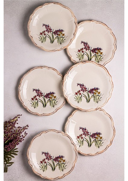 6 Parça Çok Renkli Porselen Kahvaltı ve Pasta Takımı 21CM