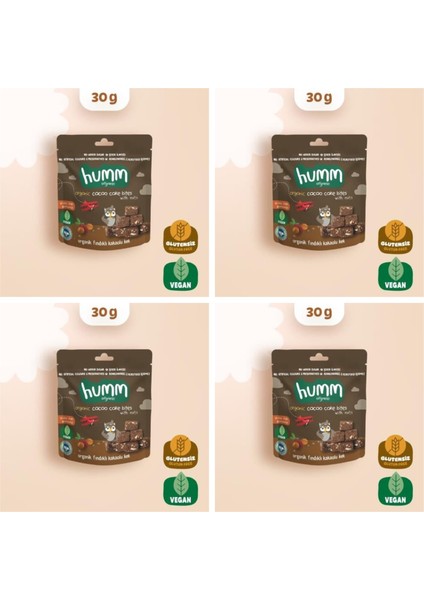 Organik Glutensiz Vegan Kakaolu ve Fındıklı Kek - 30G* 4 Adet