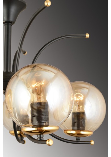 5'li Bal Glop Camlı Siyah Modern Yukarı Bakan Lüks Avize fırsatları