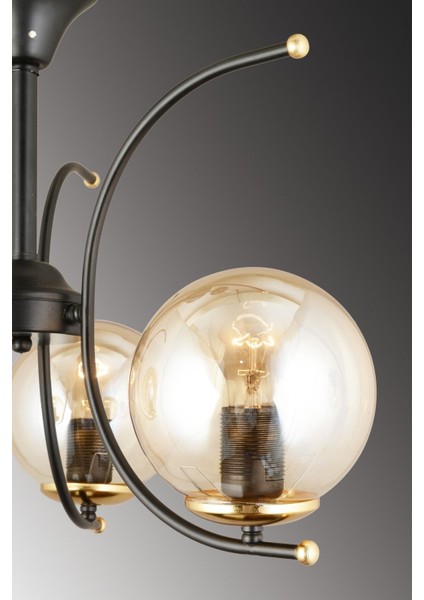 5'li Bal Glop Camlı Siyah Modern Yukarı Bakan Lüks Avize indirimleri