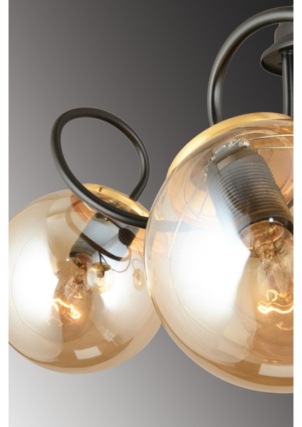 Modern 5'li Bal Glop Camlı Siyah Avize, Şık ve Zarif Tasarım. fırsatları