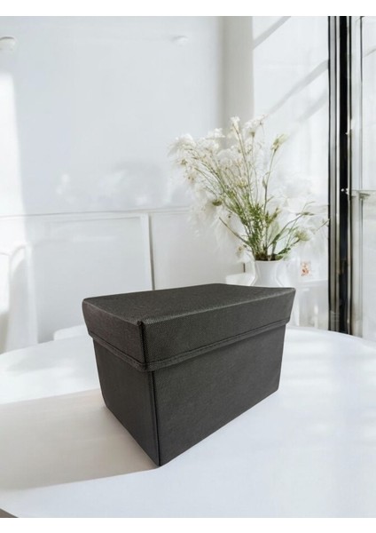 4'lü Siyah Kapaklı Çok Amaçlı Dolap Içi Saklama Kutusu 30X20X20 cm fırsatları