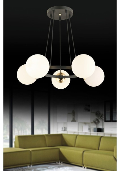 Şık Siyah 5'li Halka Füme Glop Camlı Modern Avize