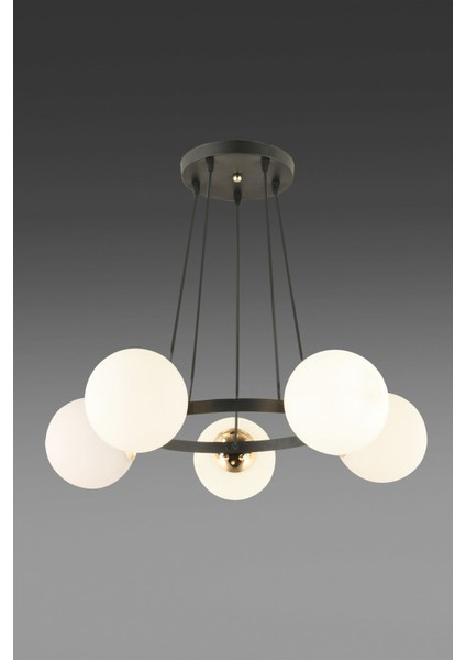 Şık Siyah 5'li Halka Füme Glop Camlı Modern Avize fiyatları