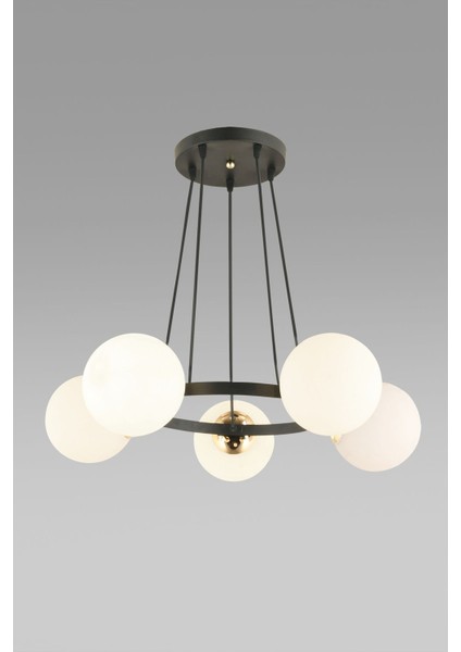 Şık Siyah 5'li Halka Füme Glop Camlı Modern Avize modelleri