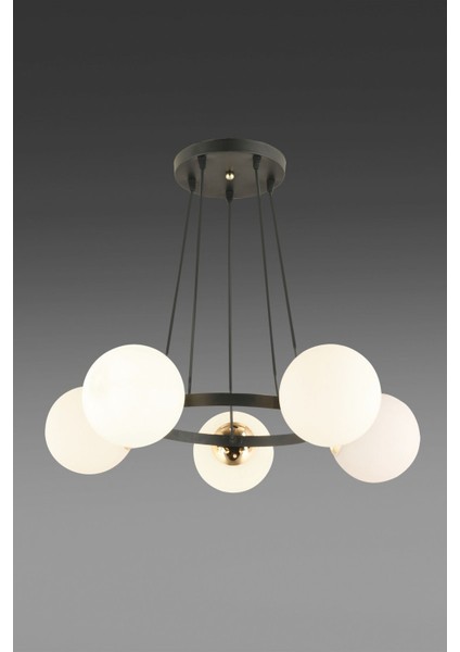 Şık Siyah 5'li Halka Füme Glop Camlı Modern Avize fırsatları