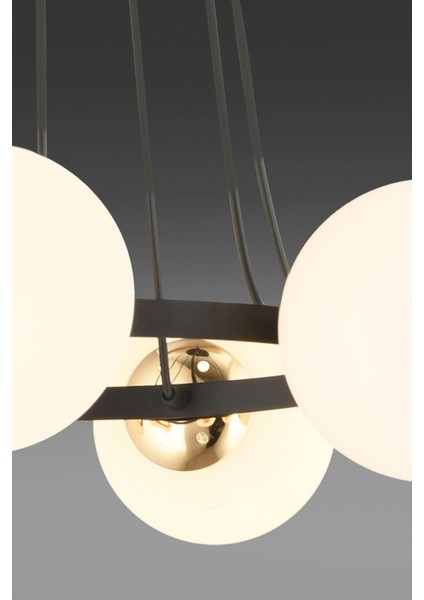 Şık Siyah 5'li Halka Füme Glop Camlı Modern Avize indirimleri