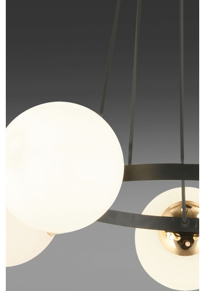 Şık Siyah 5'li Halka Füme Glop Camlı Modern Avize