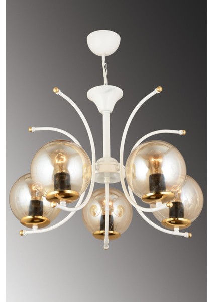 5'li Bal Glop Camlı Modern Yukarı Bakan Lüks Avize modelleri