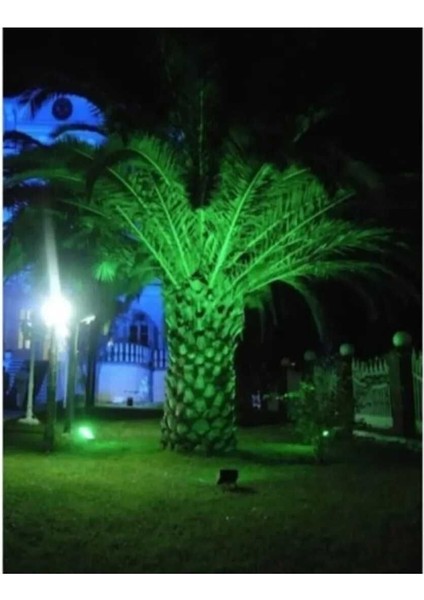 Yeşil LED Projektör, Su Geçirmez, Bahçe, Mağaza, Bina Giriş, Döküm Kasa, 10W